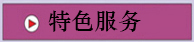 特色服務(wù) 特色服務(wù)